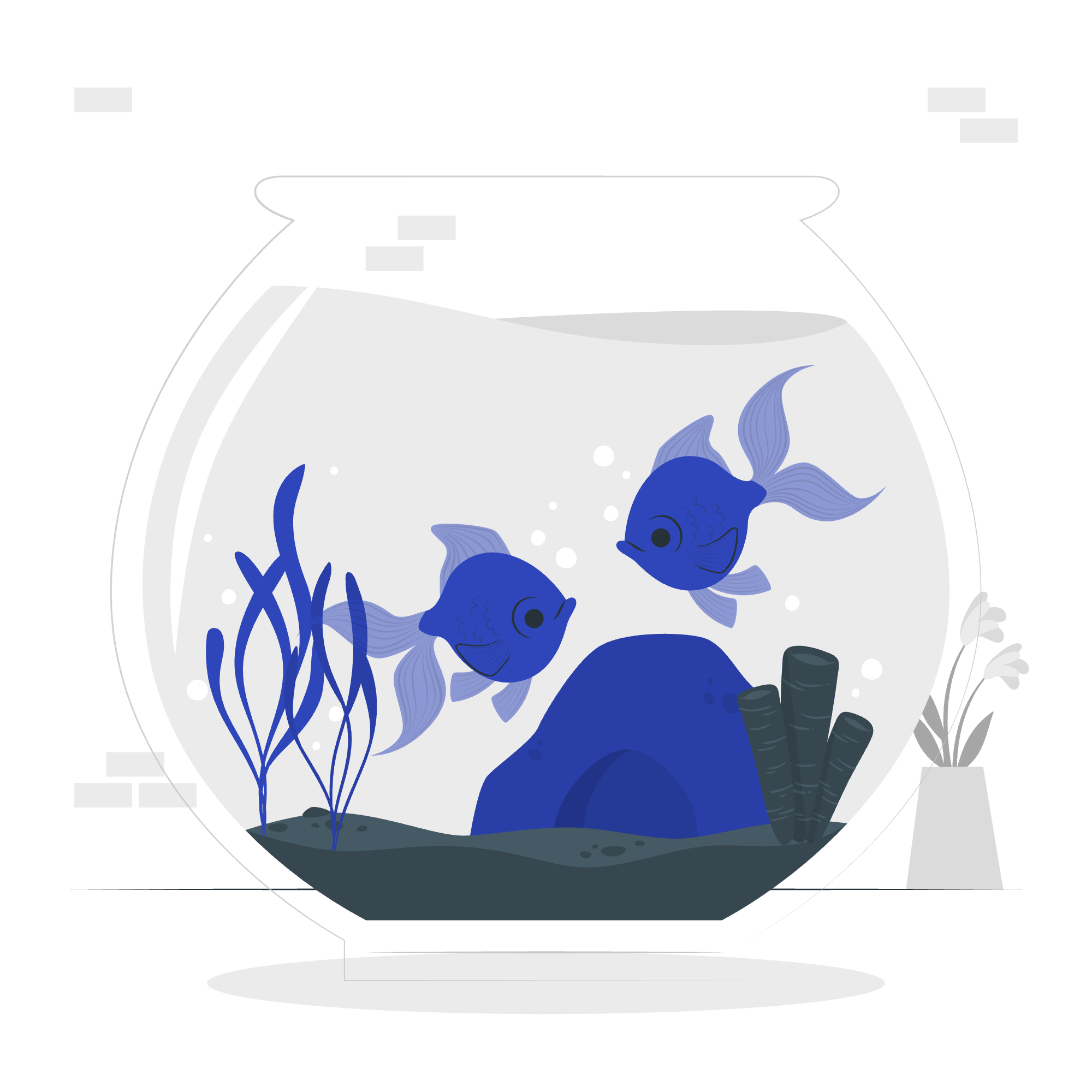 Fresh fish products