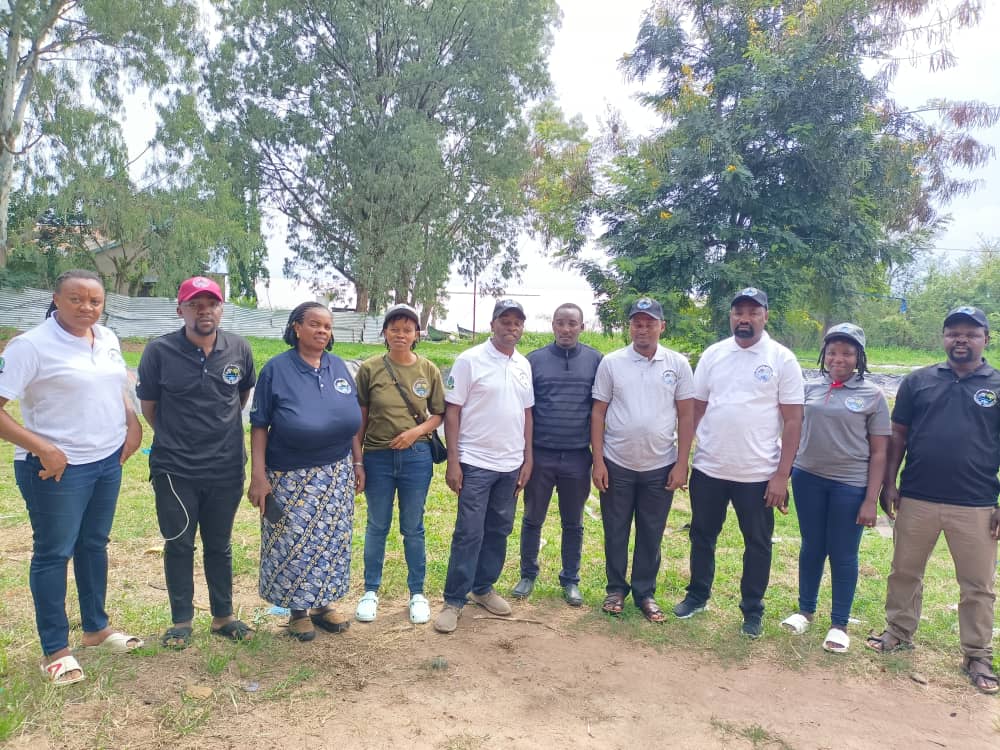 Project Team 4