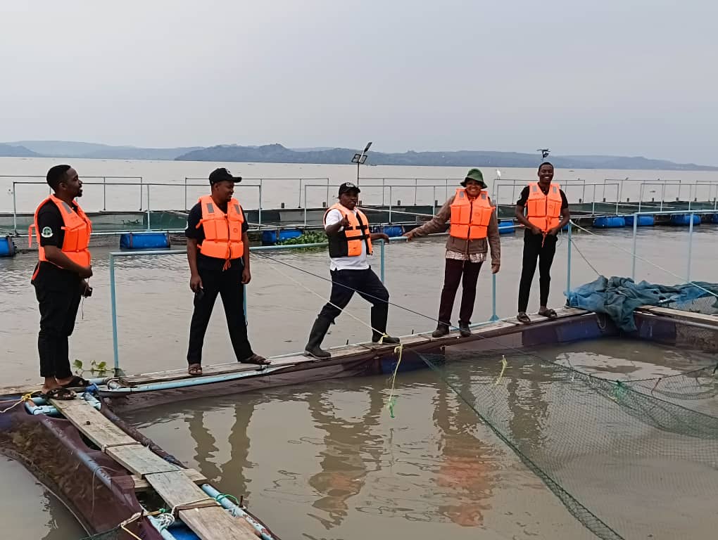 Project Team 5